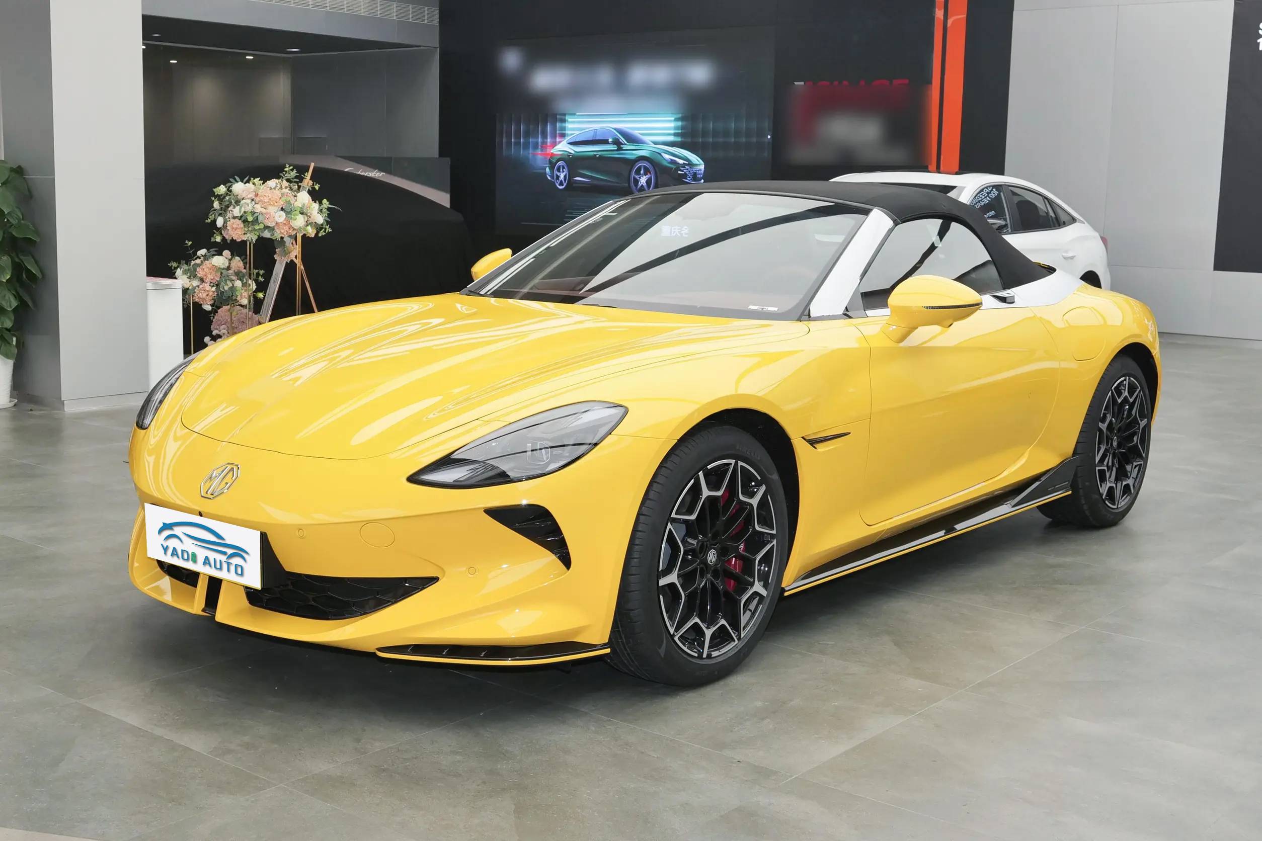 МГ Киберстер