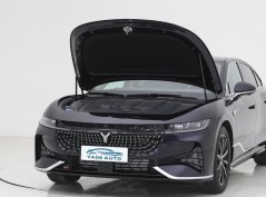 VOYAH CHASE LIGHT EV