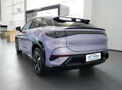 Морской лев 07