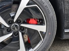 Морской лев 07