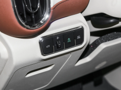 Ора Балетный Кот