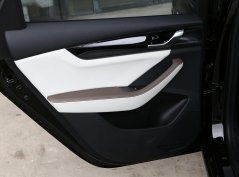 Цинь Плюс ДМ-и