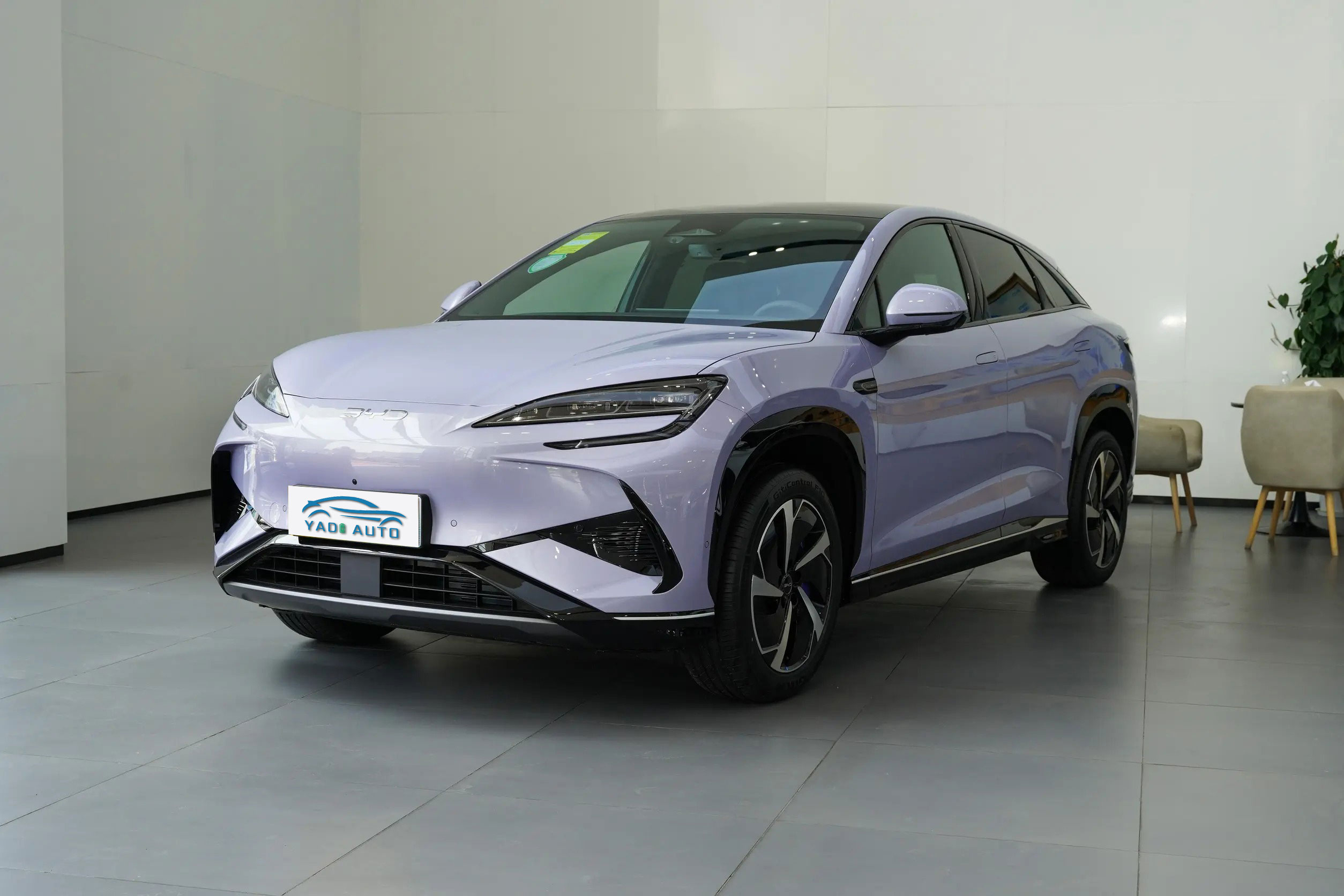 Морской лев 07