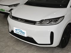 BYD D1