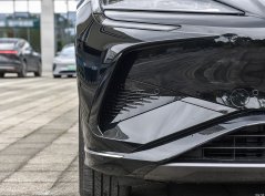 Морской лев 07