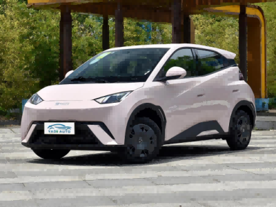 Seagull Glory Edition