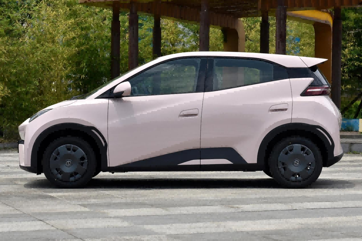 Seagull Glory Edition Seagull Glory Edition