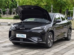 Морской лев 07