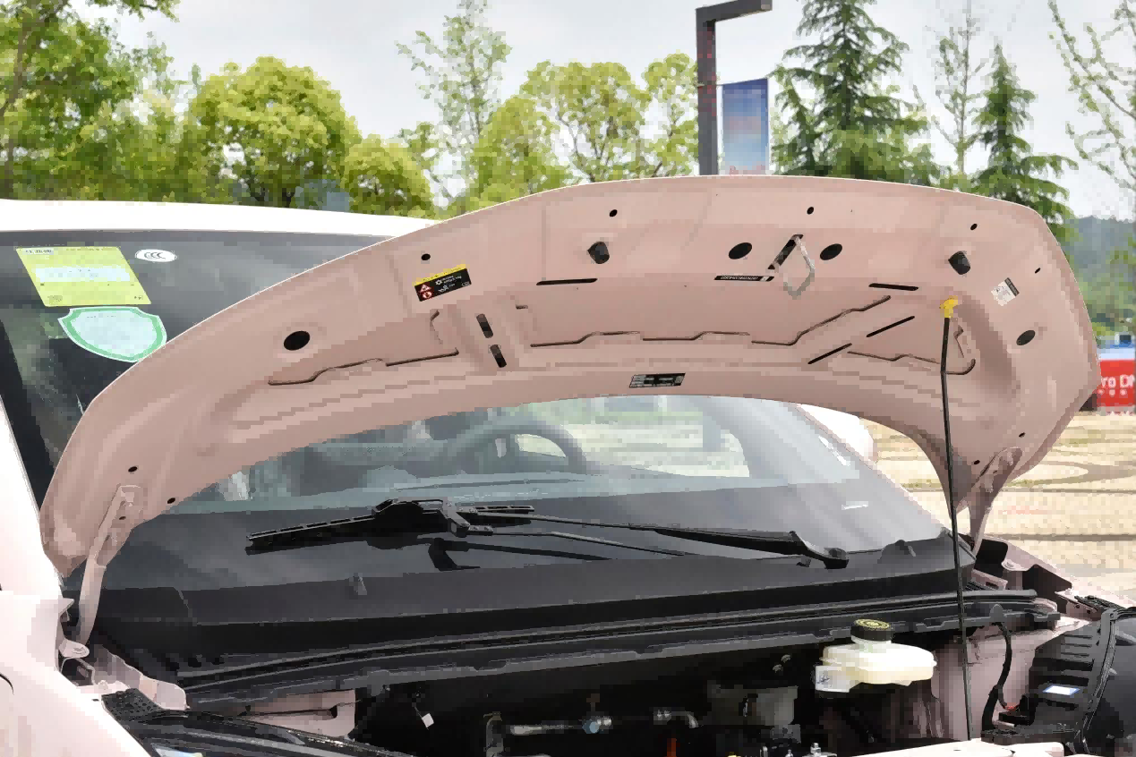 Seagull Glory Edition Seagull Glory Edition