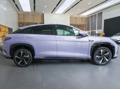 Морской лев 07