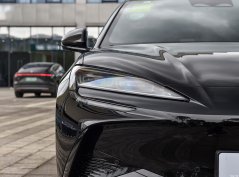 Морской лев 07