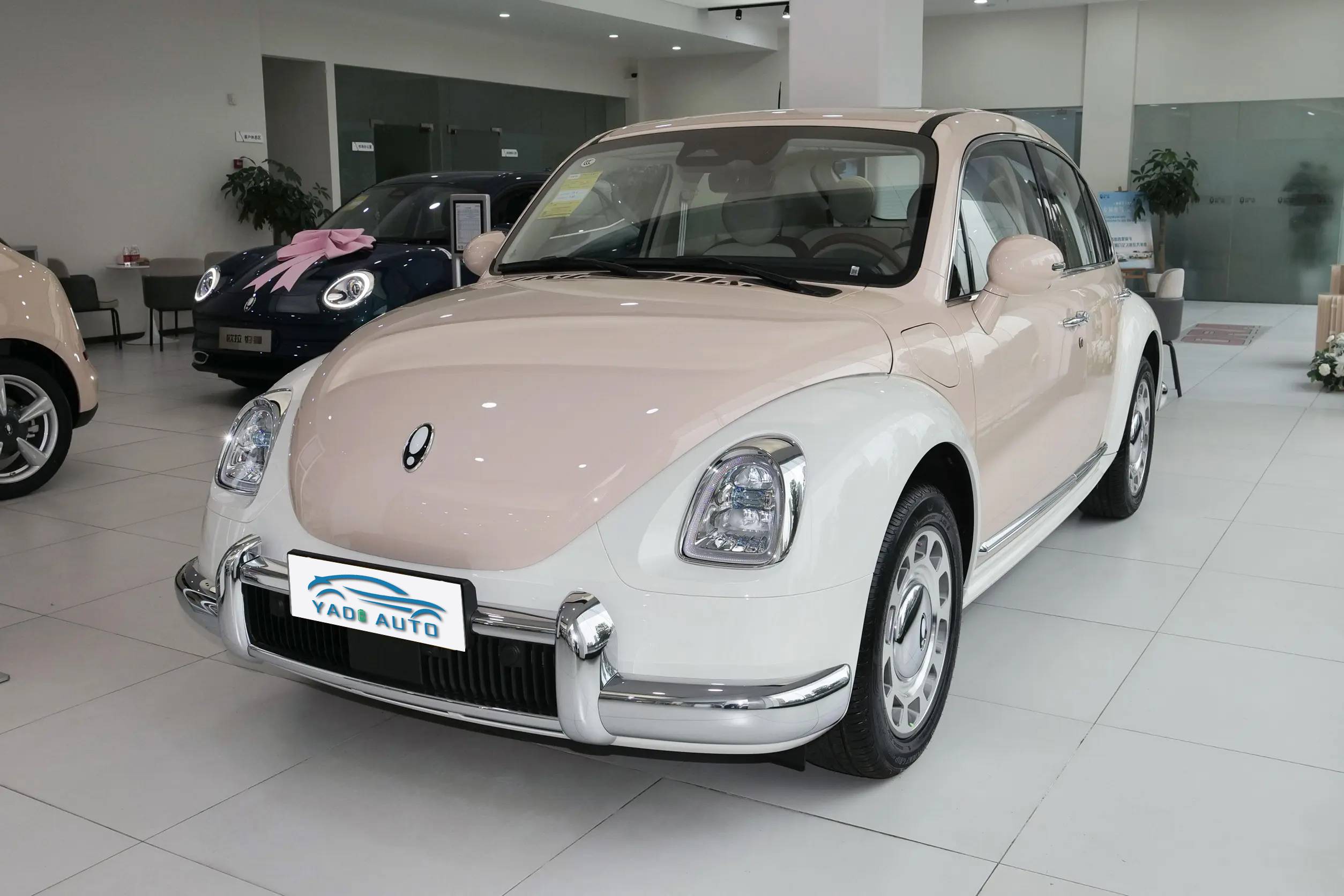 Ора Балетный Кот