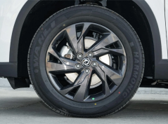 Дунфэнфэншен SKY EV01