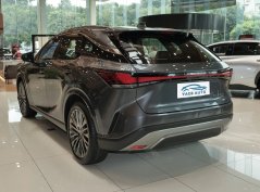 Lexus RX New Energy