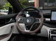 Цинь Плюс ДМ-и