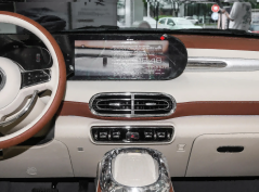 Ора Балетный Кот