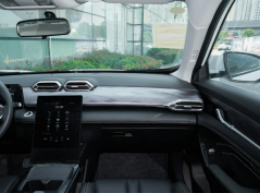 Дунфэнфэншен SKY EV01