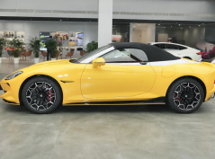 МГ Киберстер