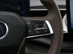 Цинь Плюс ДМ-и