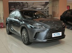 Lexus RX New Energy