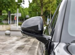 Морской лев 07