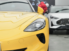 МГ Киберстер