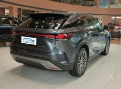 Lexus RX New Energy