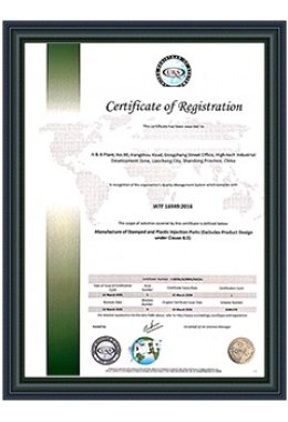 Honors and Qualifications