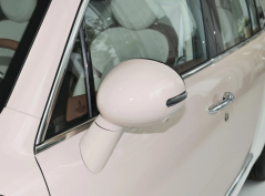 Ора Балетный Кот