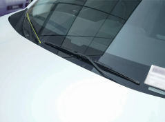 Дунфэнфэншен SKY EV01