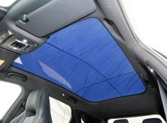 Морской лев 07