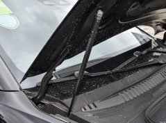 Морской лев 07