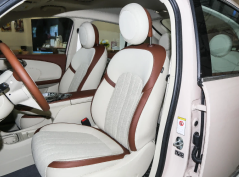 Ора Балетный Кот