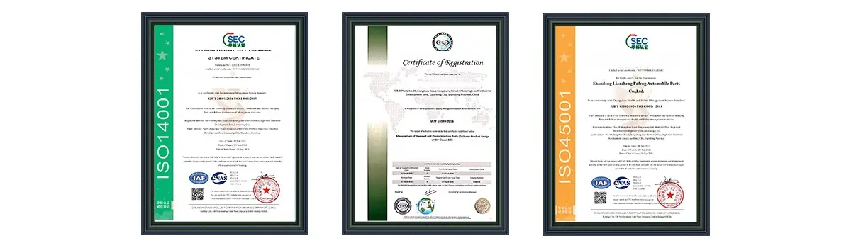 Honors and Qualifications Honors and Qualifications