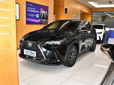 Lexus  NX New Energy
