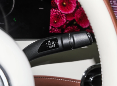 Ора Балетный Кот