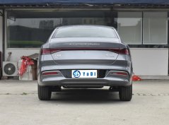 Цинь Плюс ДМ-и