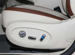 Ора Балетный Кот