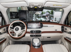 Ора Балетный Кот