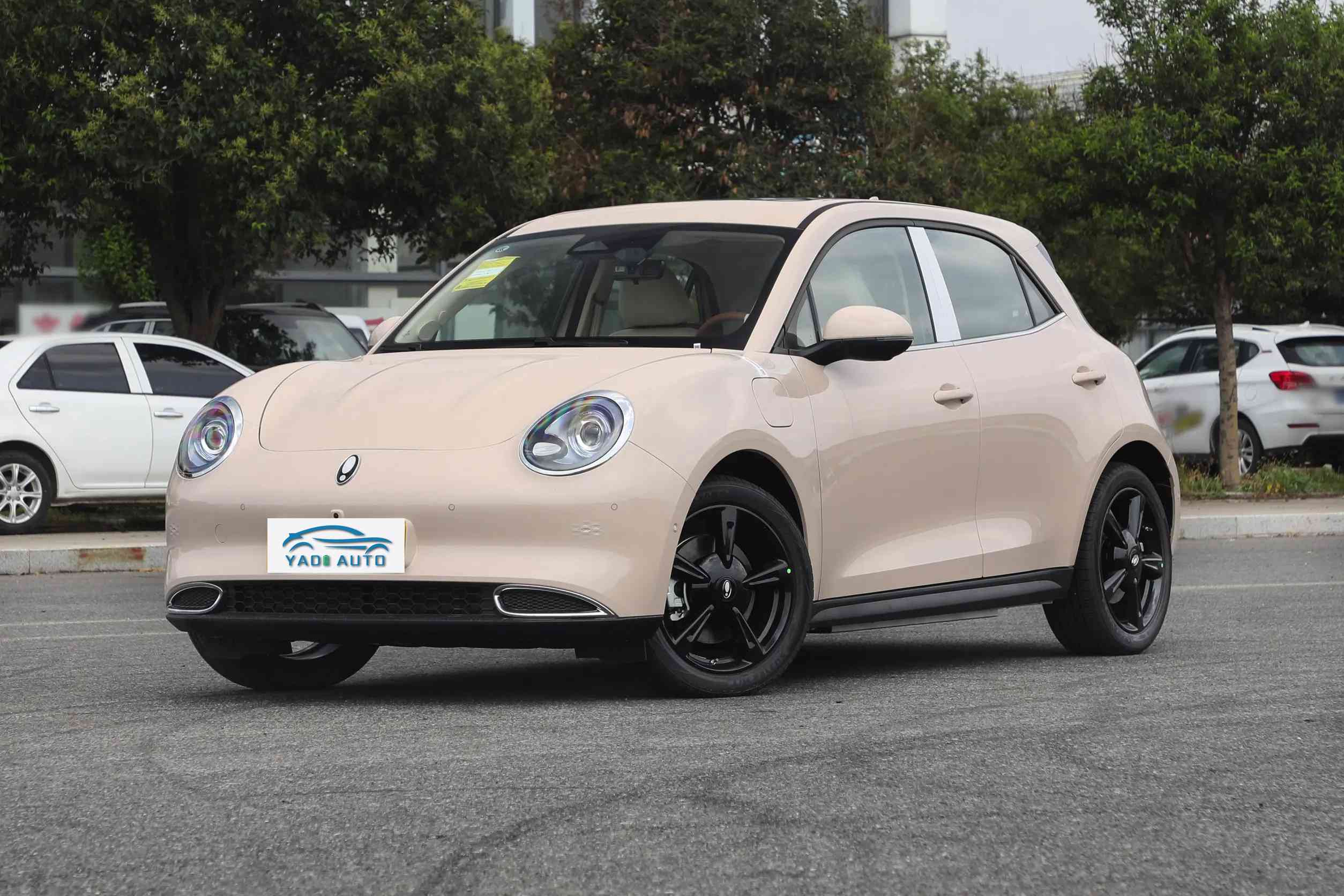 Ора Хороший Кот